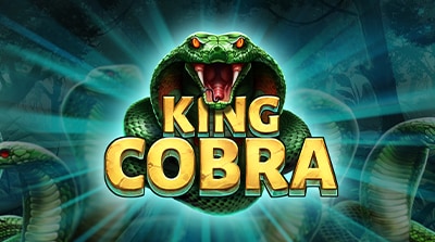 King Cobra